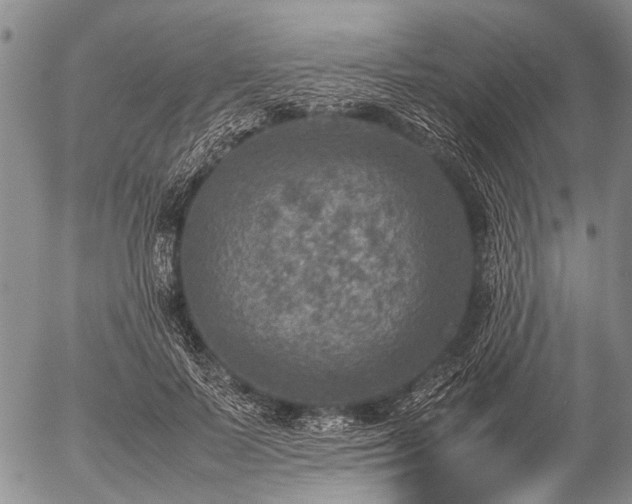 X0000057080695200509161604