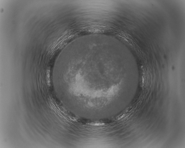 X0000057080696200509161604