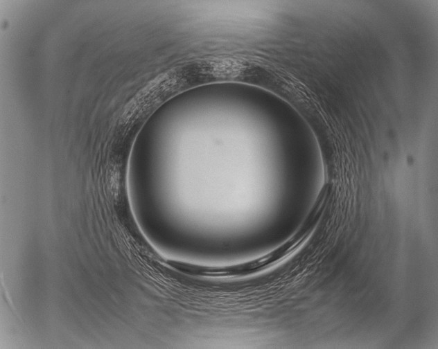 X0000057080697200509161604