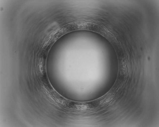 X0000057080698200509161604