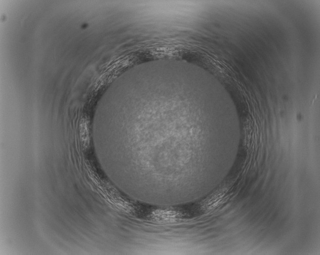 X0000057080699200509161604