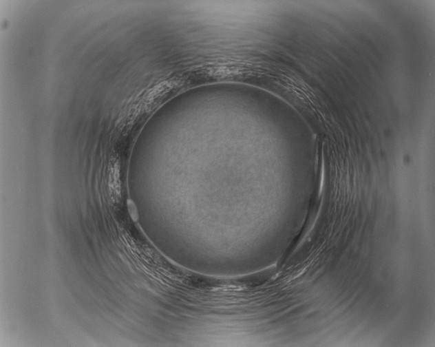 X0000057080700200509161604