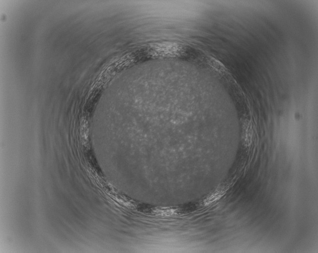 X0000057080701200509161604