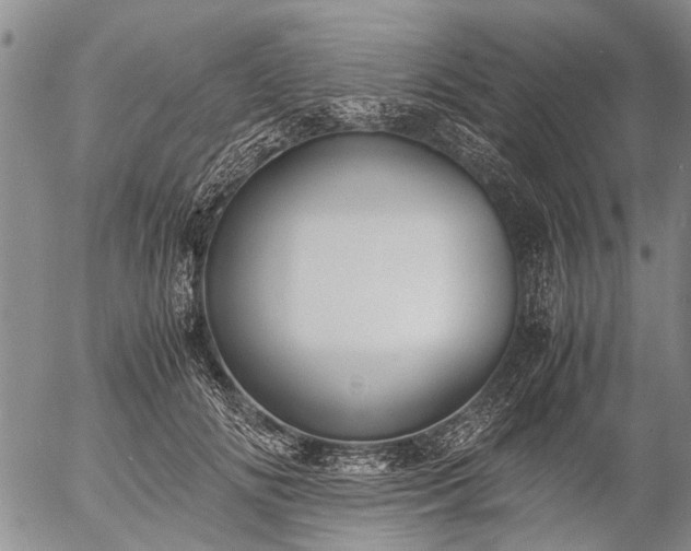 X0000057080702200509161604