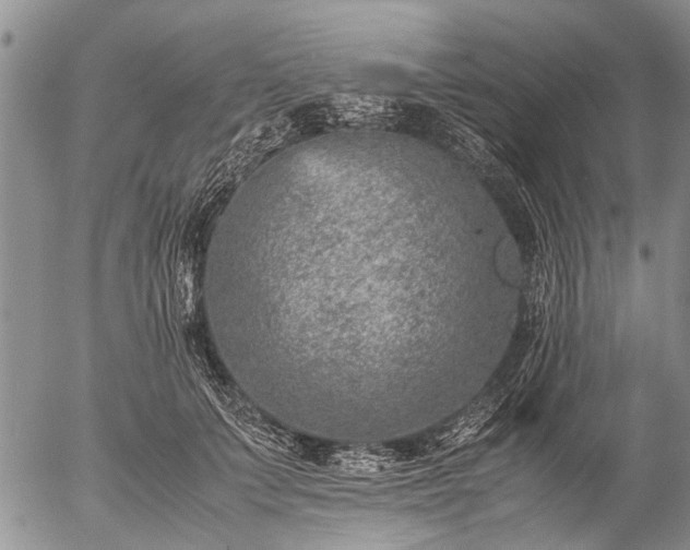 X0000057080703200509161604