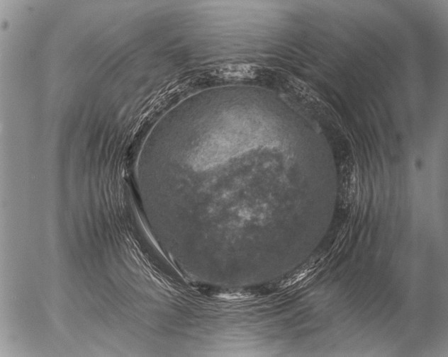 X0000057080704200509161604