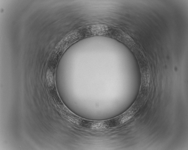 X0000057080705200509161604