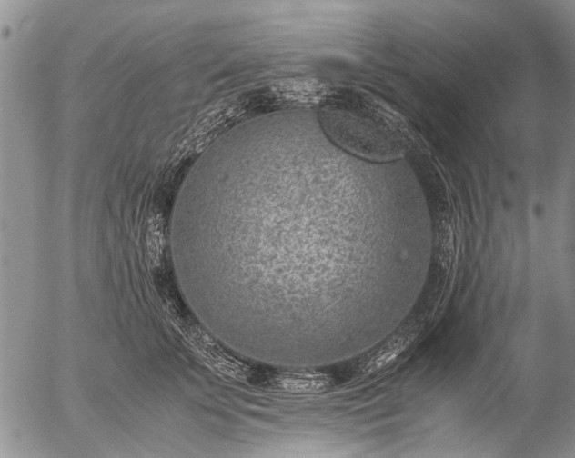 X0000057080707200509161604