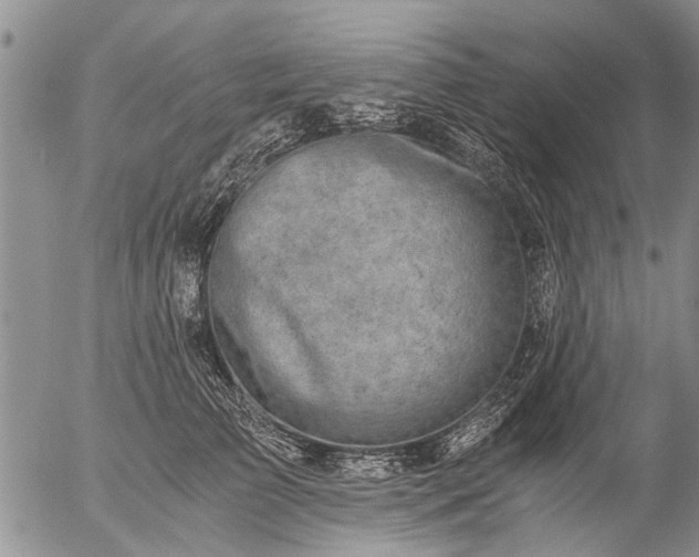 X0000057080709200509161604