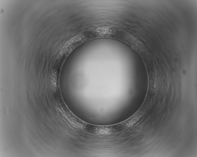 X0000057080710200509161604