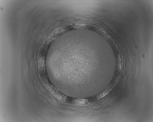 X0000057080711200509161604