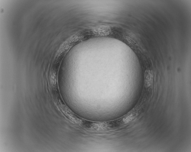 X0000057080713200509161604