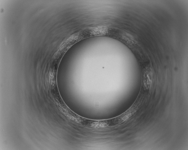 X0000057080714200509161604