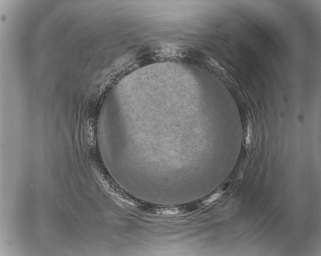 X0000057080715200509161604