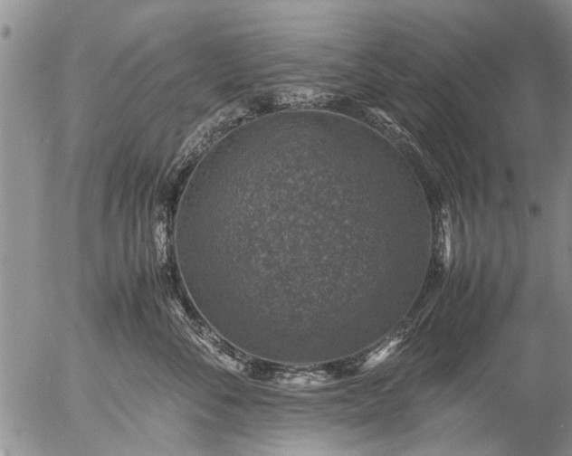 X0000057080716200509161604