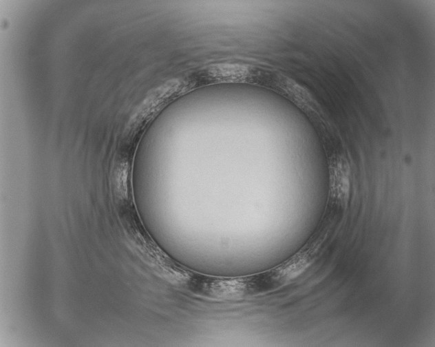 X0000057080717200509161604