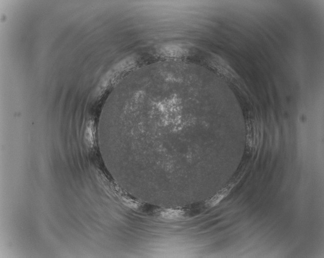 X0000057080718200509161604