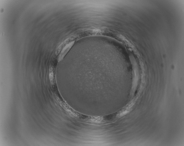 X0000057080720200509161604