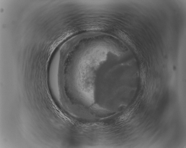 X0000057080721200509161603