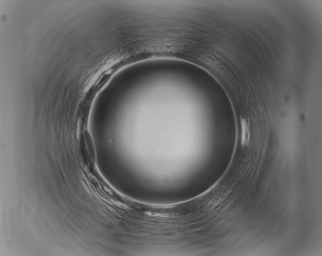 X0000057080723200509161603