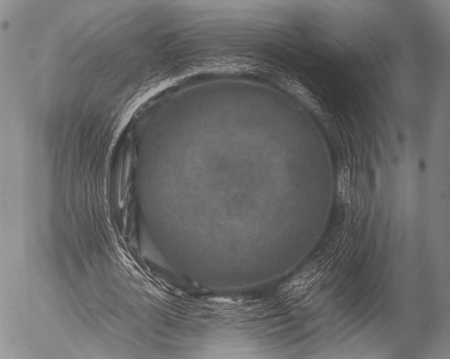 X0000057080724200509161603