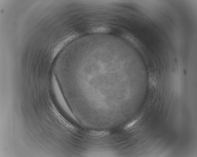 X0000057080725200509161603