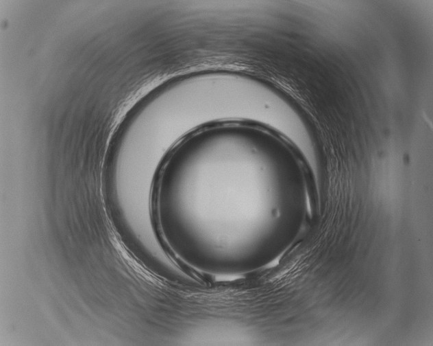 X0000057080726200509161603