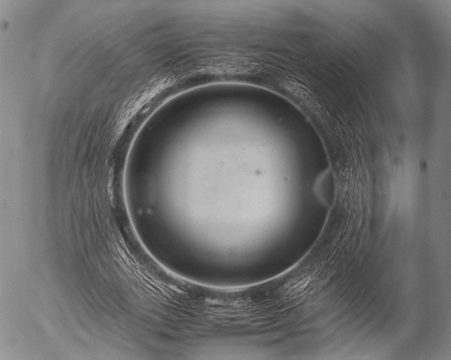 X0000057080727200509161603