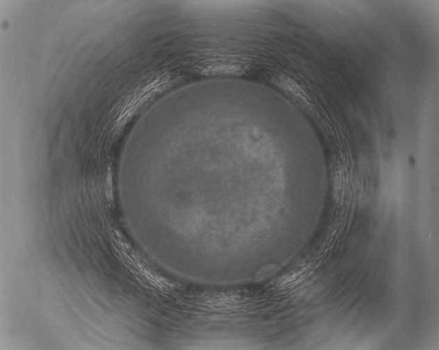 X0000057080729200509161603