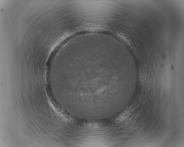 X0000057080730200509161603