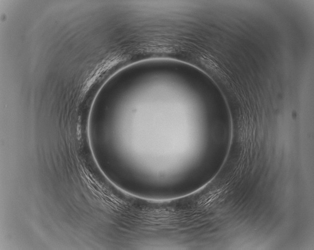 X0000057080731200509161603