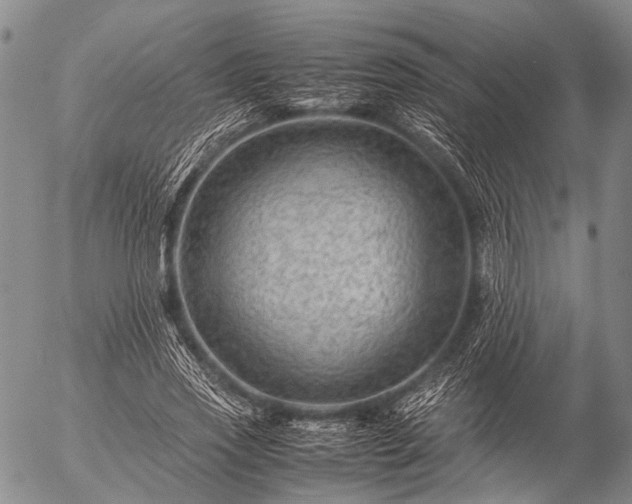 X0000057080733200509161603