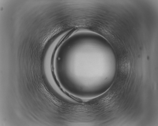 X0000057080735200509161603