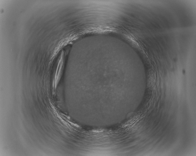 X0000057080736200509161603