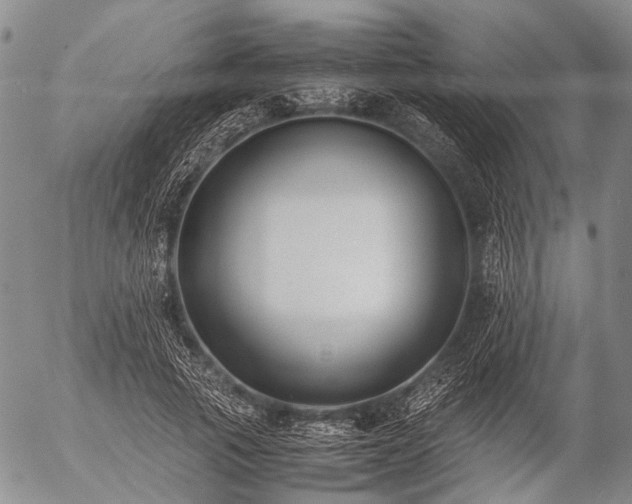 X0000057080737200509161603