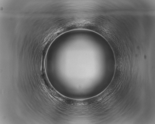 X0000057080740200509161603