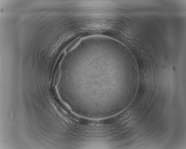 X0000057080742200509161603