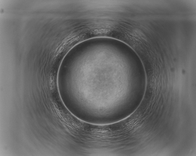 X0000057080743200509161603