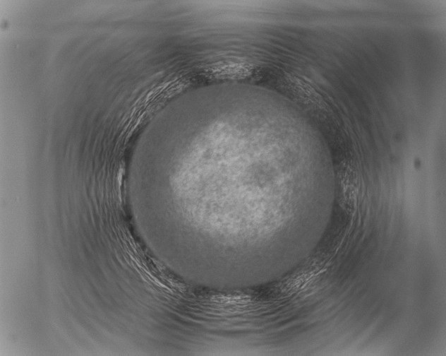 X0000057080745200509161603