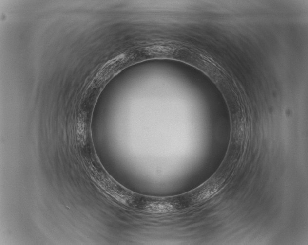 X0000057080749200509161604