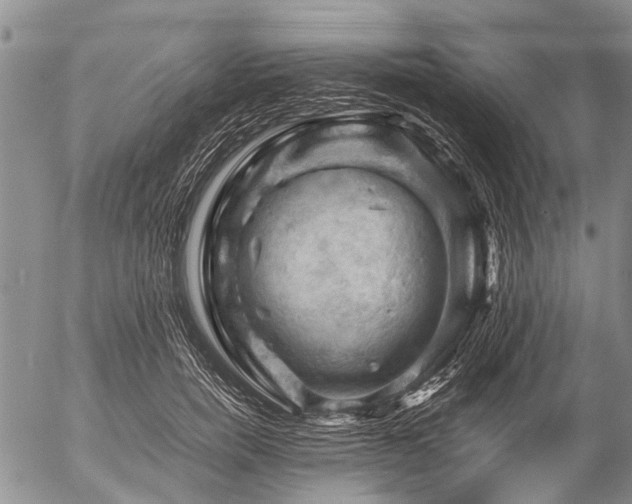 X0000057080750200509161604