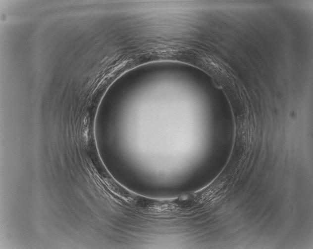 X0000057080752200509161604