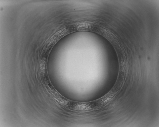 X0000057080753200509161604