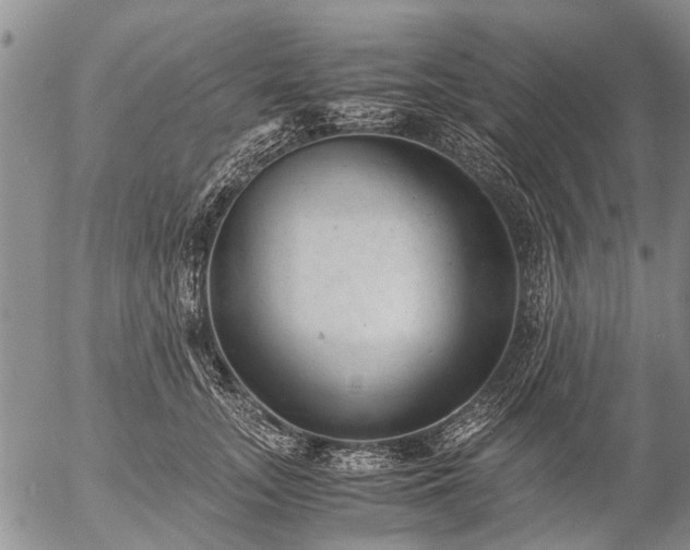 X0000057080755200509161604