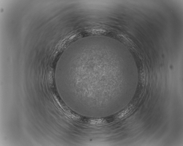 X0000057080757200509161604