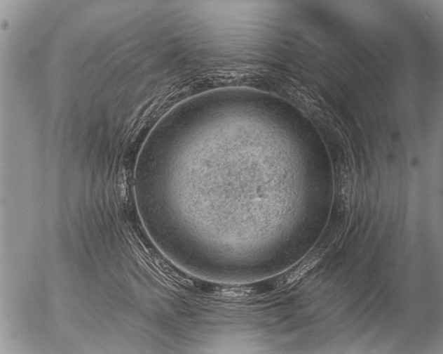 X0000057080758200509161604