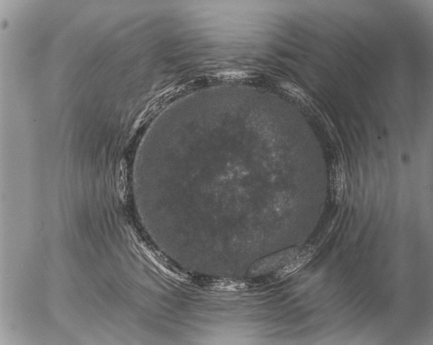 X0000057080760200509161604