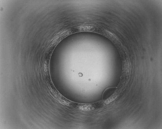 X0000057080761200509161604