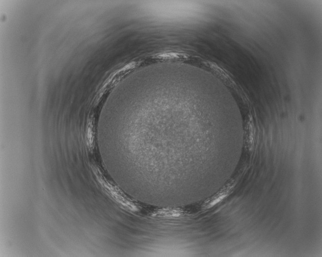 X0000057080762200509161604