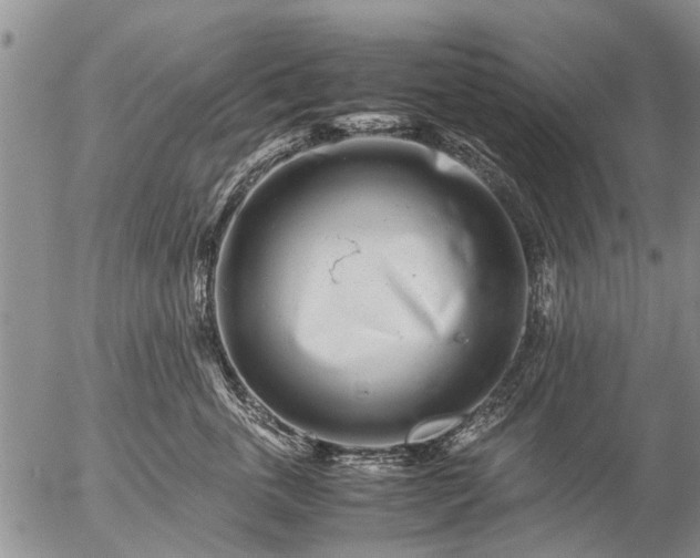 X0000057080763200509161604